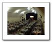 Formal_Event3